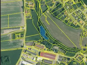 Prodej lesa, Okrouhlá Radouň, 2438 m2