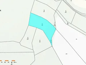 Prodej lesa, Staré Bříště, 3075 m2