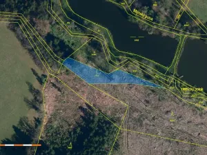 Prodej lesa, Staré Bříště, 1279 m2