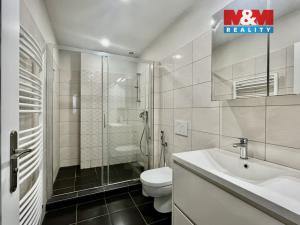 Pronájem bytu 2+kk, Kolín - Kolín II, Kmochova, 62 m2