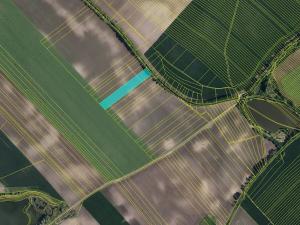 Prodej pole, Nikolčice, 10239 m2