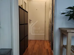 Prodej bytu 1+kk, Praha - Karlín, Molákova, 36 m2