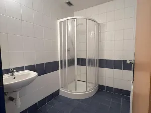 Pronájem obchodního prostoru, Český Těšín, Frýdecká, 160 m2