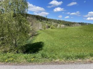 Prodej pole, Pecka, 10031 m2