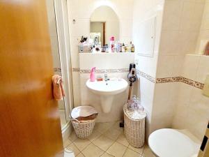 Pronájem bytu 1+kk, Praha - Záběhlice, Ve slatinách, 45 m2