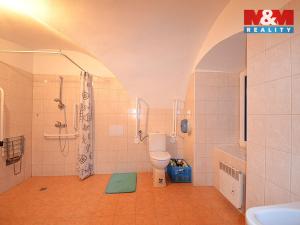 Pronájem bytu 1+kk, Vlčice, 50 m2