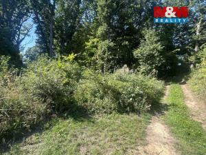 Prodej lesa, Vysoká Pec - Drmaly, 4812 m2