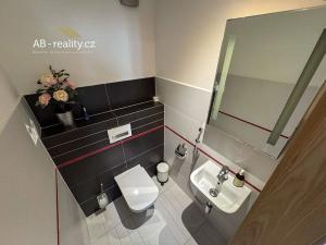 Prodej rodinného domu, Háj u Duchcova, Ke Knížáku, 243 m2