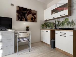 Pronájem bytu 1+kk, Brno, Rakovecká, 22 m2