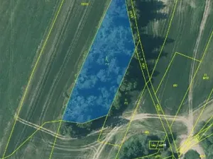 Prodej lesa, Nová Bystřice, 3201 m2