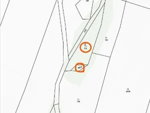 Prodej lesa, Nová Bystřice, 1069 m2