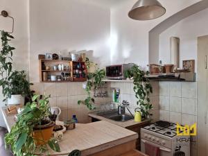 Pronájem pokoje, Praha - Karlín, Jirsíkova, 28 m2