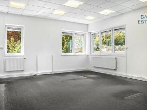 Pronájem výrobních prostor, Hrušky, Na aleji, 6941 m2