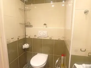 Pronájem bytu 3+1, Kladno, Na růžovém poli, 56 m2