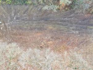 Prodej zahrady, Brno, 1446 m2