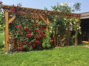 Prodej zahrady, České Budějovice, 893 m2