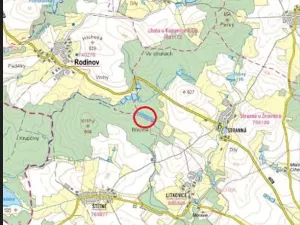 Prodej podílu lesa, Žirovnice, 24331 m2