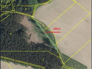 Prodej podílu lesa, Pacov, 475 m2