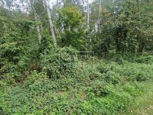 Prodej pozemku pro bydlení, Lázně Bohdaneč, Šípkova, 3376 m2