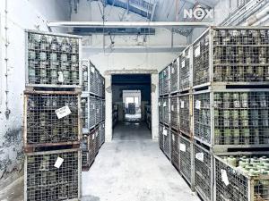 Pronájem výrobních prostor, Dětřichov, 6890 m2