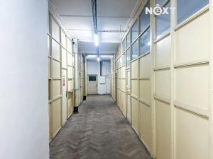 Pronájem výrobních prostor, Dětřichov, 6890 m2