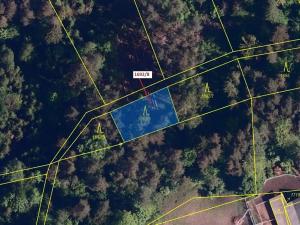 Dražba lesa, Návsí, 409 m2