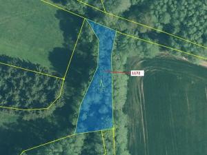 Dražba lesa, Kuřimany, 875 m2