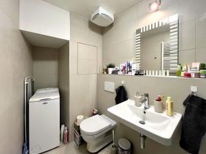 Pronájem bytu 1+kk, Brno, Mlýnská, 32 m2