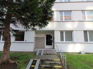 Pronájem bytu 1+kk, Praha - Karlín, Molákova, 36 m2