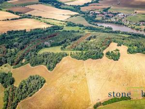 Prodej lesa, Zvěstov, 45954 m2