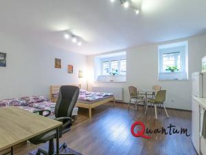 Pronájem bytu 1+kk, Praha - Nusle, 5. května, 34 m2