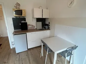 Pronájem bytu 1+kk, Praha - Krč, Budějovická, 20 m2