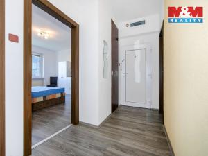 Pronájem bytu 3+kk, Osvračín, 78 m2