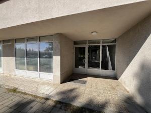 Pronájem bytu 1+kk, Brno - Lesná, Halasovo náměstí, 21 m2