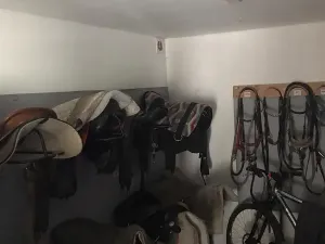 Dražba rodinného domu, Býšť, 1618 m2