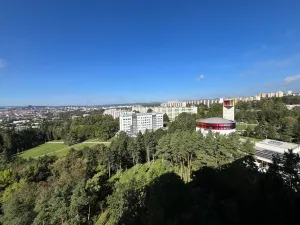 Pronájem bytu 1+kk, Brno, Halasovo náměstí, 21 m2