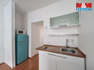 Pronájem bytu 1+kk, Plzeň, Vrchlického, 27 m2