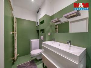 Pronájem bytu 1+kk, Plzeň, Vrchlického, 27 m2