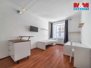 Pronájem bytu 1+kk, Plzeň, Vrchlického, 27 m2