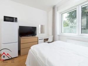 Pronájem bytu 1+kk, Ostrava, Cihelní, 17 m2