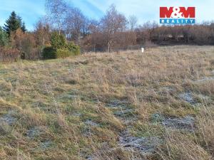 Prodej pozemku pro bydlení, Sušice, 989 m2