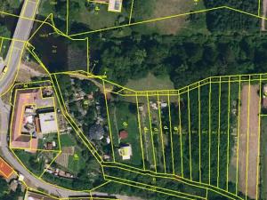 Dražba pozemku, Tvořihráz, 347 m2