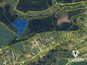 Prodej podílu lesa, Velké Petrovice, 4922 m2