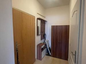 Pronájem bytu 1+kk, Praha - Žižkov, Jana Želivského, 27 m2