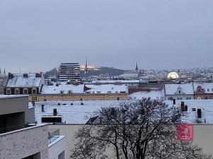 Pronájem bytu 2+kk, Brno, Bratislavská, 65 m2