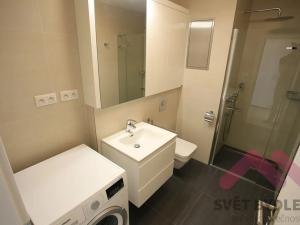 Pronájem bytu 1+kk, Praha - Nusle, Ctiradova, 34 m2