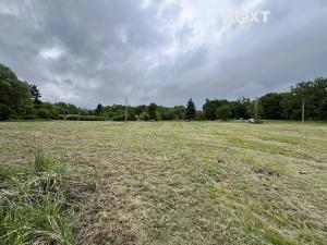 Pronájem pole, Doubrava, 7056 m2