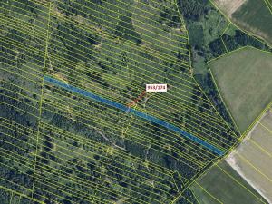 Dražba lesa, Nová Hradečná, 6275 m2