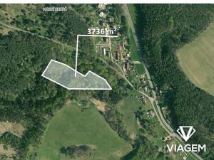 Prodej lesa, Dolní Krupá, 3736 m2