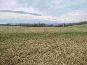 Prodej pozemku, Mírová pod Kozákovem - Vesec, 2000 m2